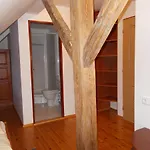 U Janatu S Ubytovanim Fogadó